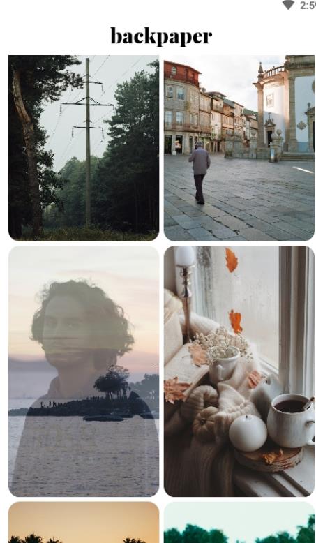 Backpaper壁纸 Backpaper壁纸
