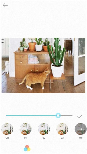 天天美图相机.jpg 天天美图相机.jpg