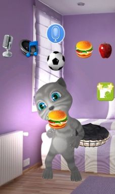 真正说话的猫-图2