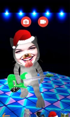 真正说话的猫-图1