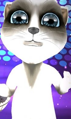 真正说话的猫-图3