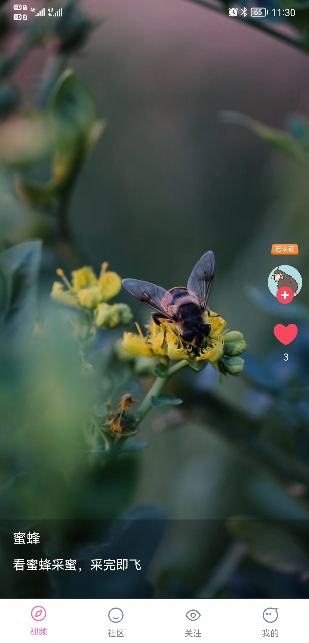 全开短视频.jpg 全开短视频.jpg