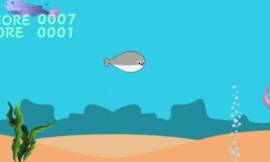 游泳吧萨卡班甲鱼-图3