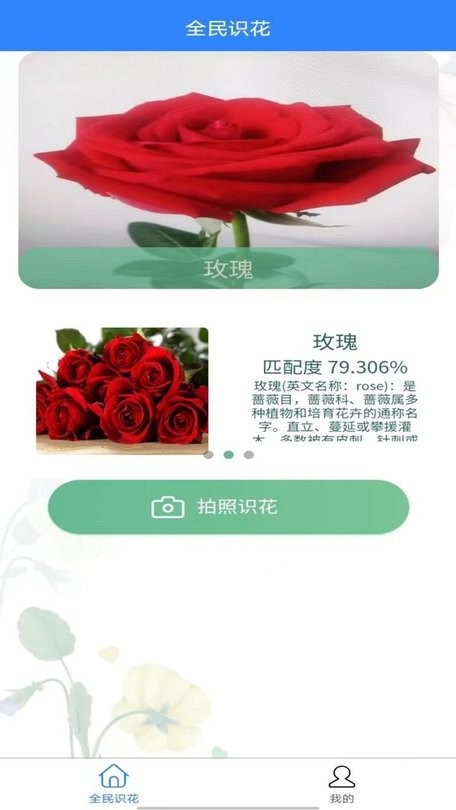 全民识花-图3