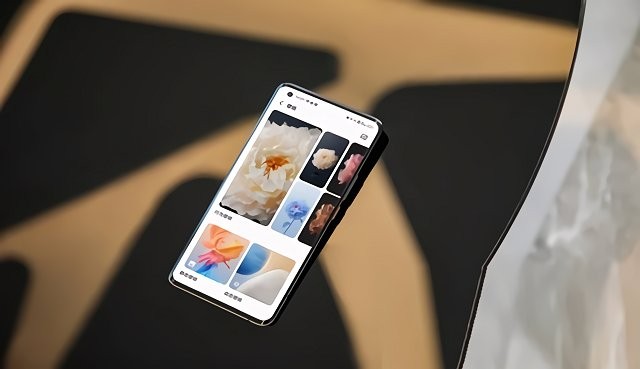 花园漫步壁纸 花园漫步壁纸