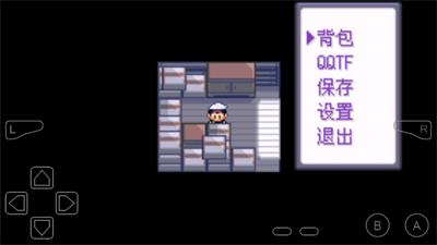 精灵宝可梦永恒纪元-图2