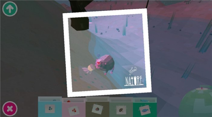 托卡大自然-图3