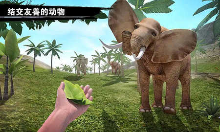 求生岛之旅-图1