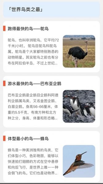 青鸟看看.jpg 青鸟看看.jpg