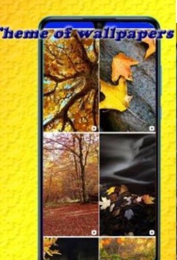 甜美壁纸和背景-图3