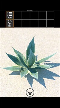 海上荒岛逃生-图3