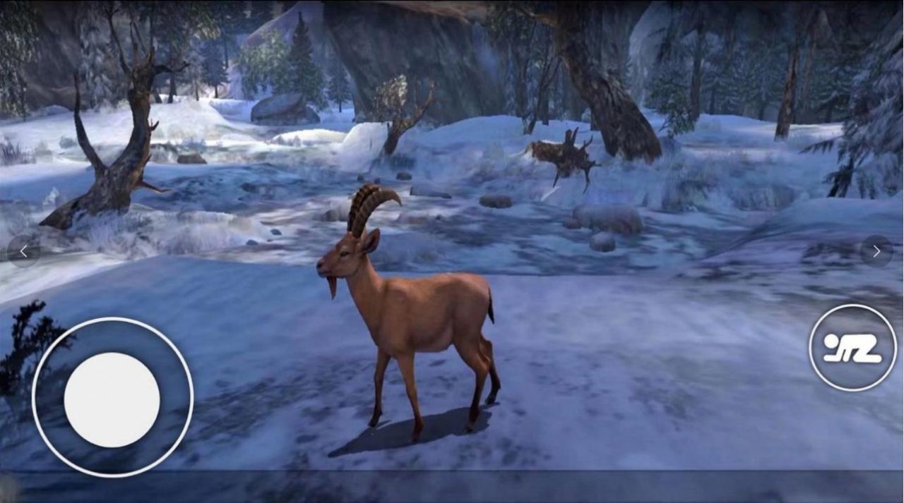 恐怖森林猎人-图3