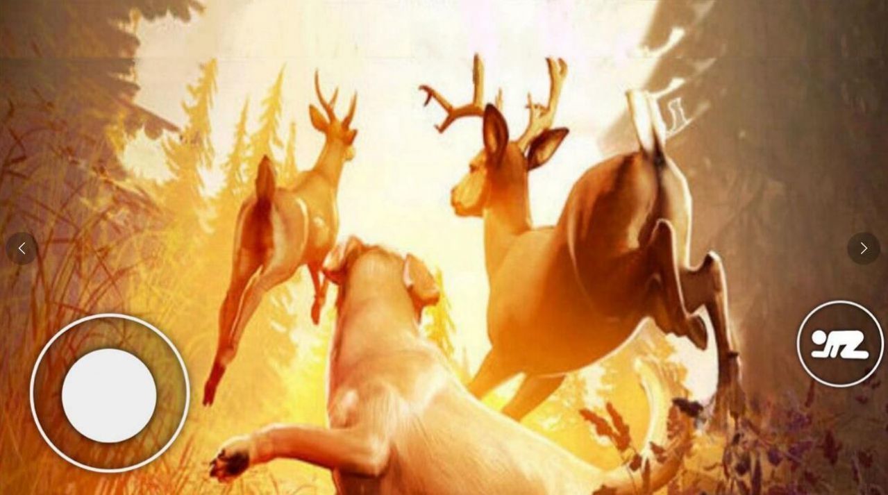 恐怖森林猎人-图1