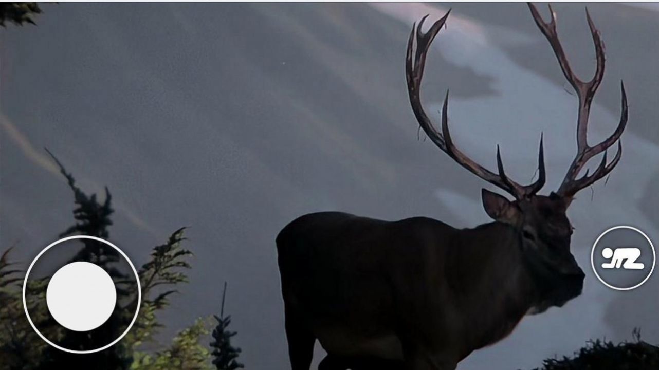 恐怖森林猎人-图2