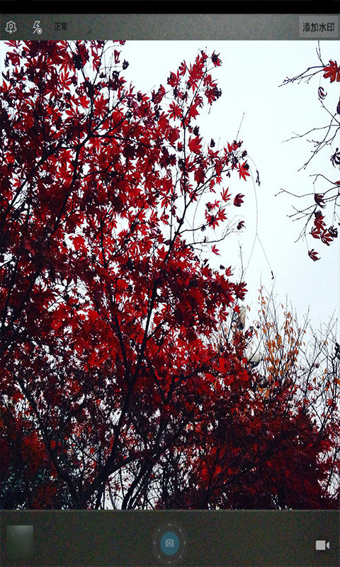 魔力玩图照相机a.jpg 魔力玩图照相机a.jpg