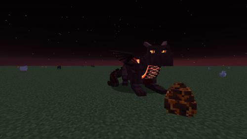 我的世界龙骑士模组 我的世界龙骑士模组