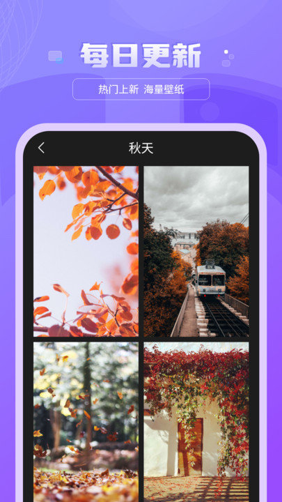 1703127746162784.jpg 1703127746162784.jpg