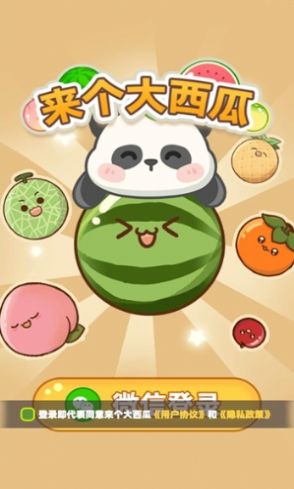 来个大西瓜 来个大西瓜