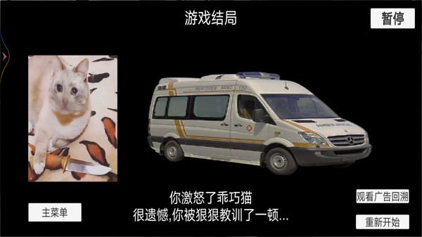 猫猫惊魂夜-图2