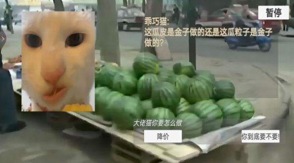 猫猫惊魂夜-图3