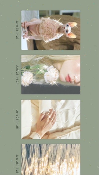 ChicCam拍照免费版-图3