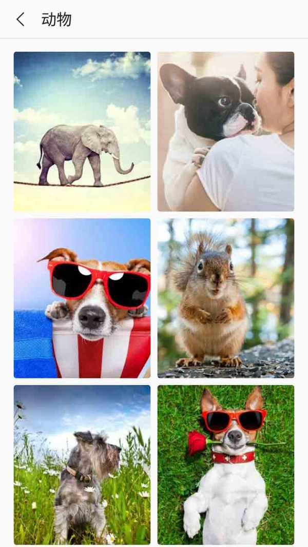 1705888314159007.jpg 1705888314159007.jpg