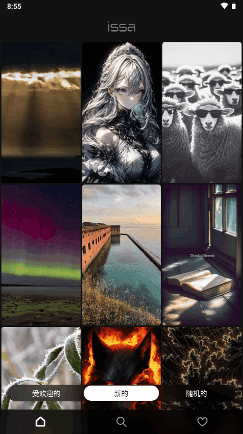 issa-图1
