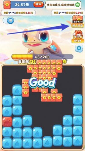 疯狂大海龟-图1