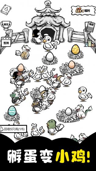 养鸡时长两年半-图3