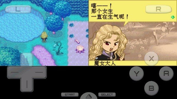 牧场物语精灵驿站女孩版-图2