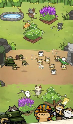 只是只小猫-图2