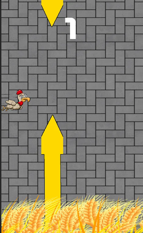 超级母鸡振翅-图3