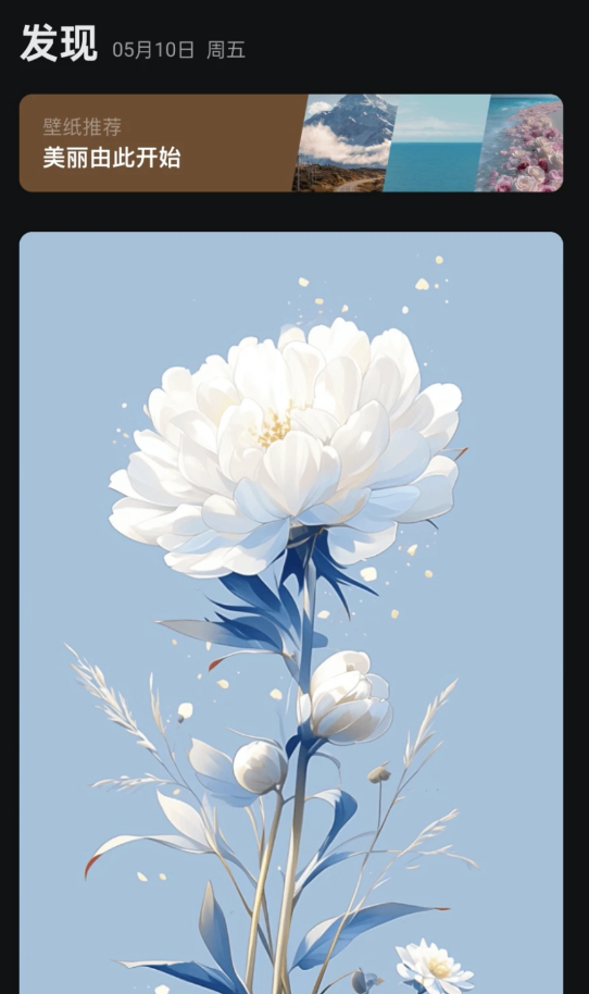 阿讦壁纸 阿讦壁纸