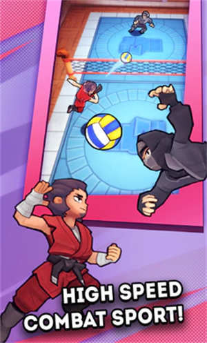 功夫排球-图2