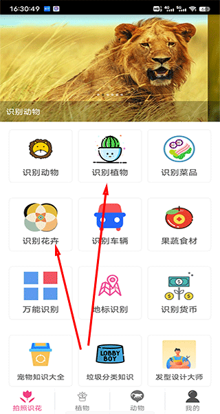 拍照识花神器-图2