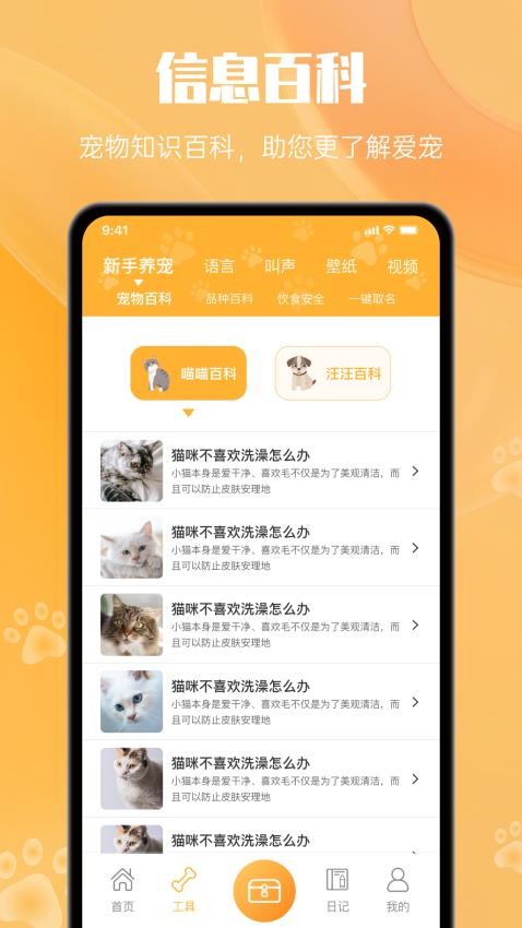 猫翻译-图1